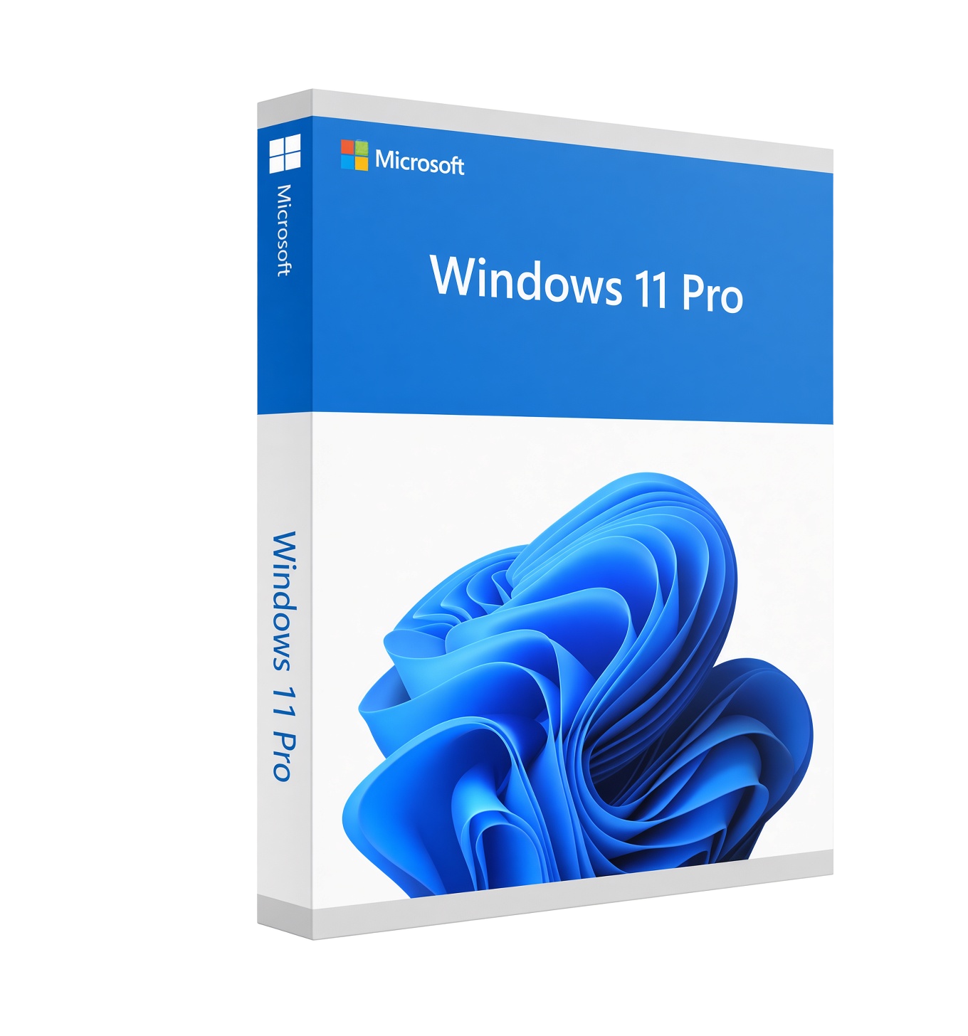 Windows 11 Professional product image